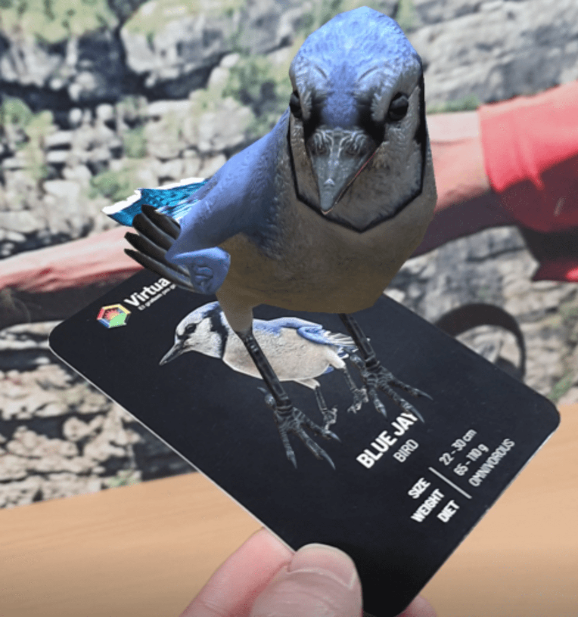 Augmented Reality application Durban